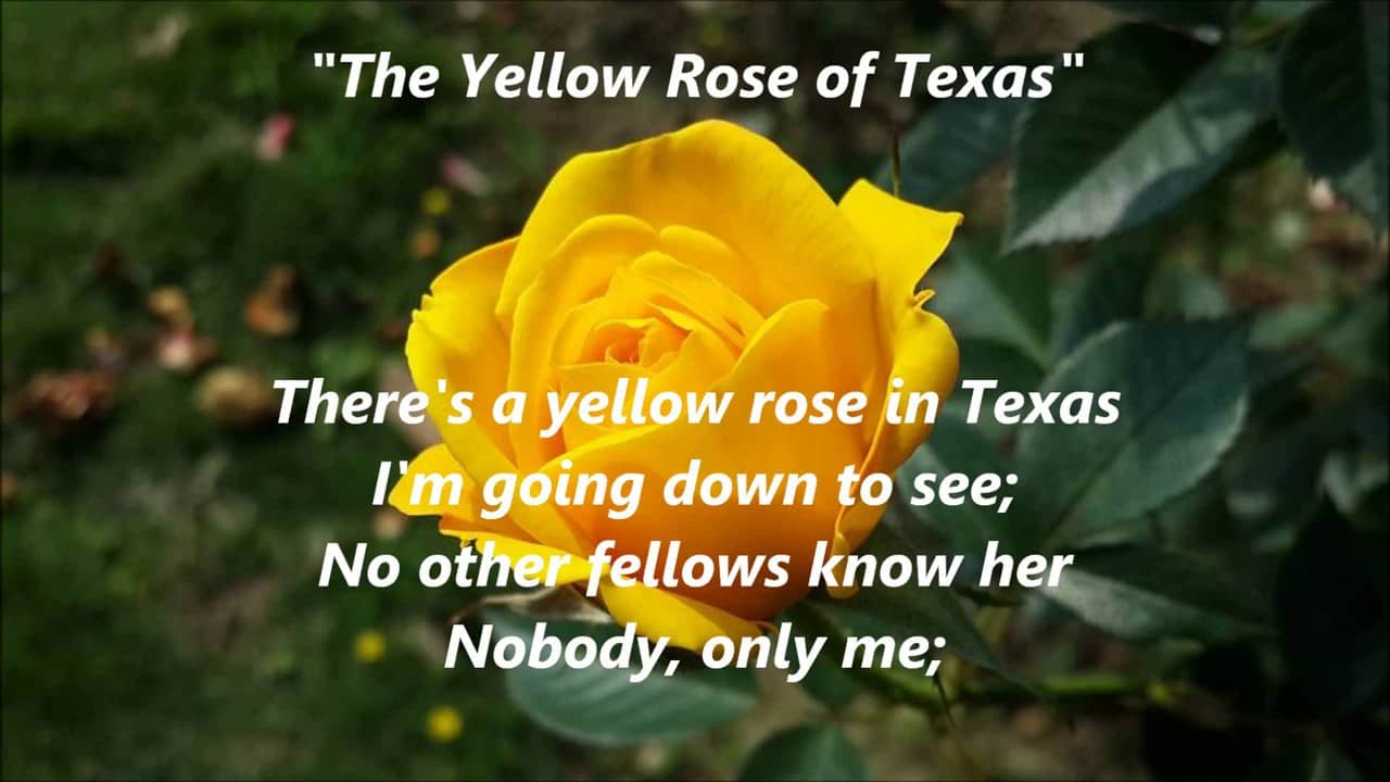 Song lyrics to "The Yellow Rose of Texas" (1853)